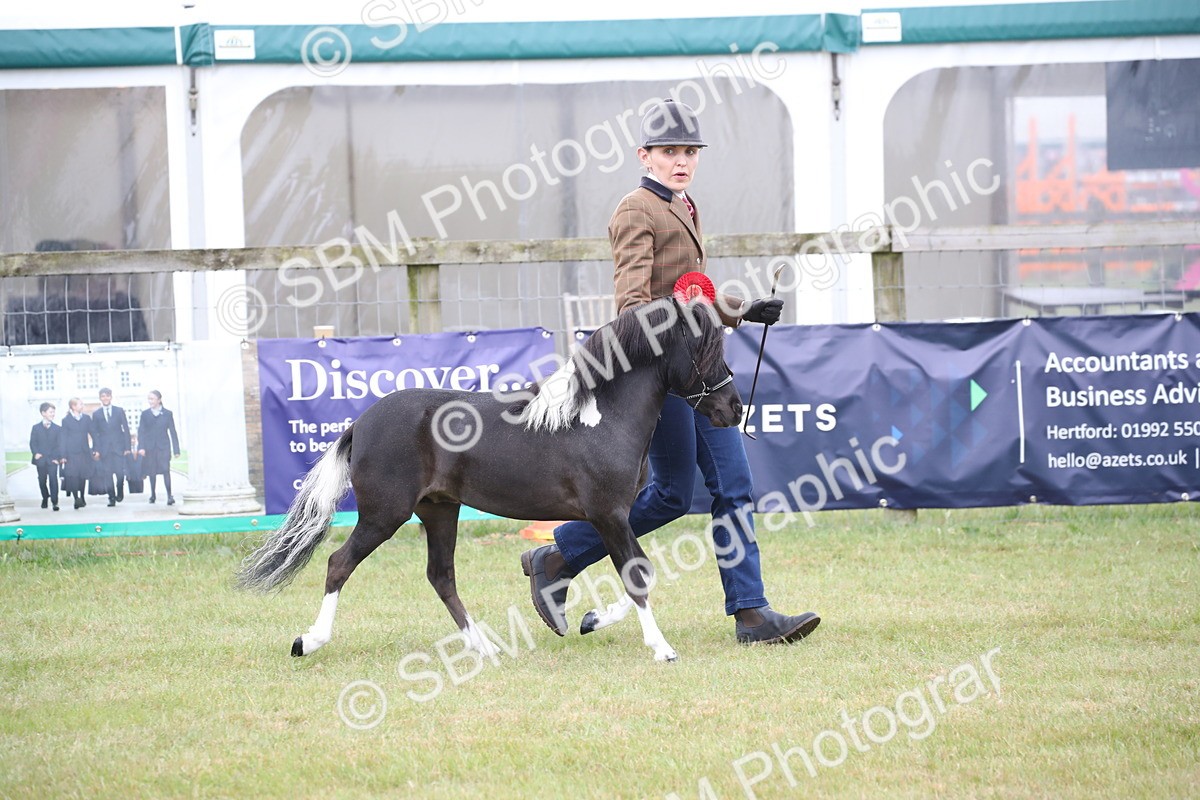 SBM_03842 - Class 23-25 - British Miniature Horse of the Year