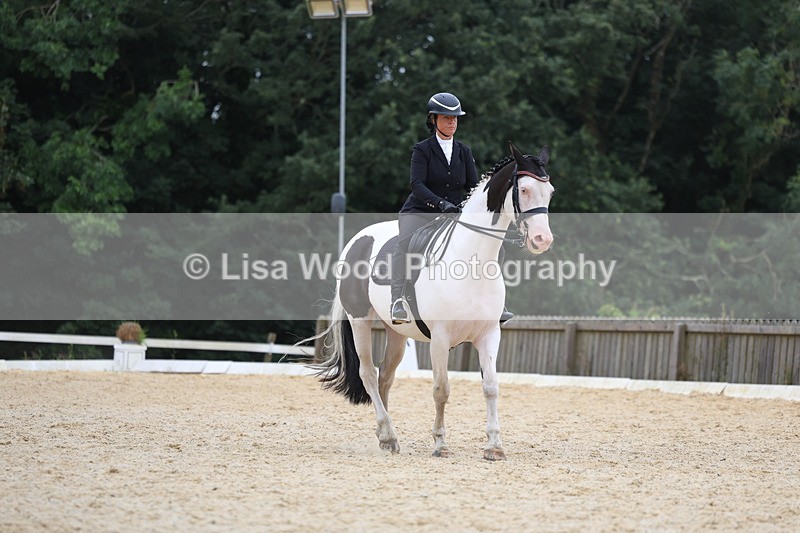 3E7A7356 - Class 9: Elementary 4 2024 - No sections