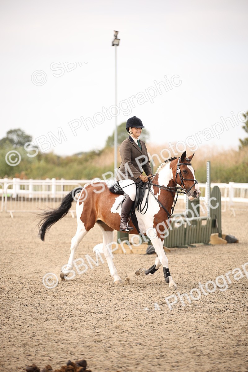 SBM_17121 - Class 409b - Working Veteran 80cm (20+)