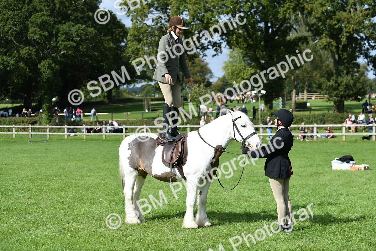 SBM_47033 - S12 - Family Horse & Pony