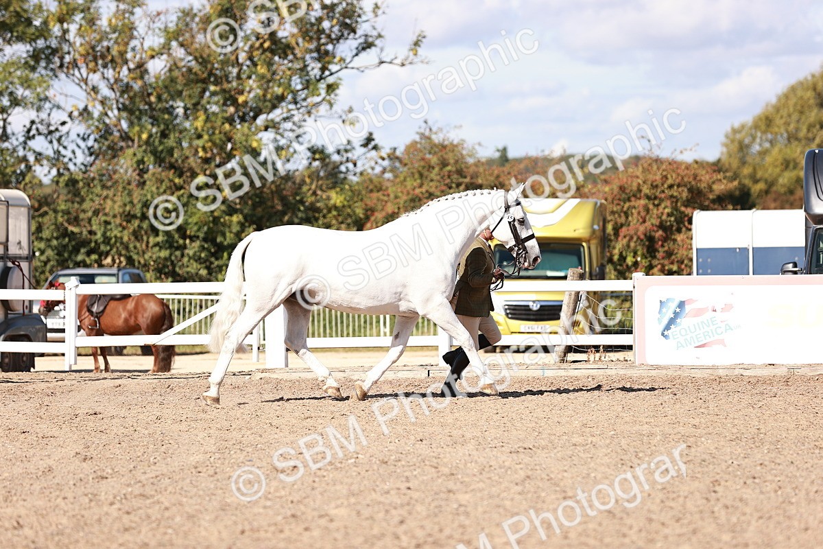 SBM_13281 - class 406 - IH Hunter