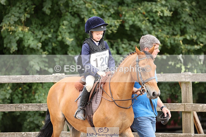 240822X-123713-06712 - 40cm LR R1 12.20 to 14.10