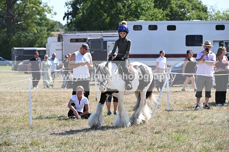 WJ6_8937 - Class 38 Ridden Riding Horse/Pony