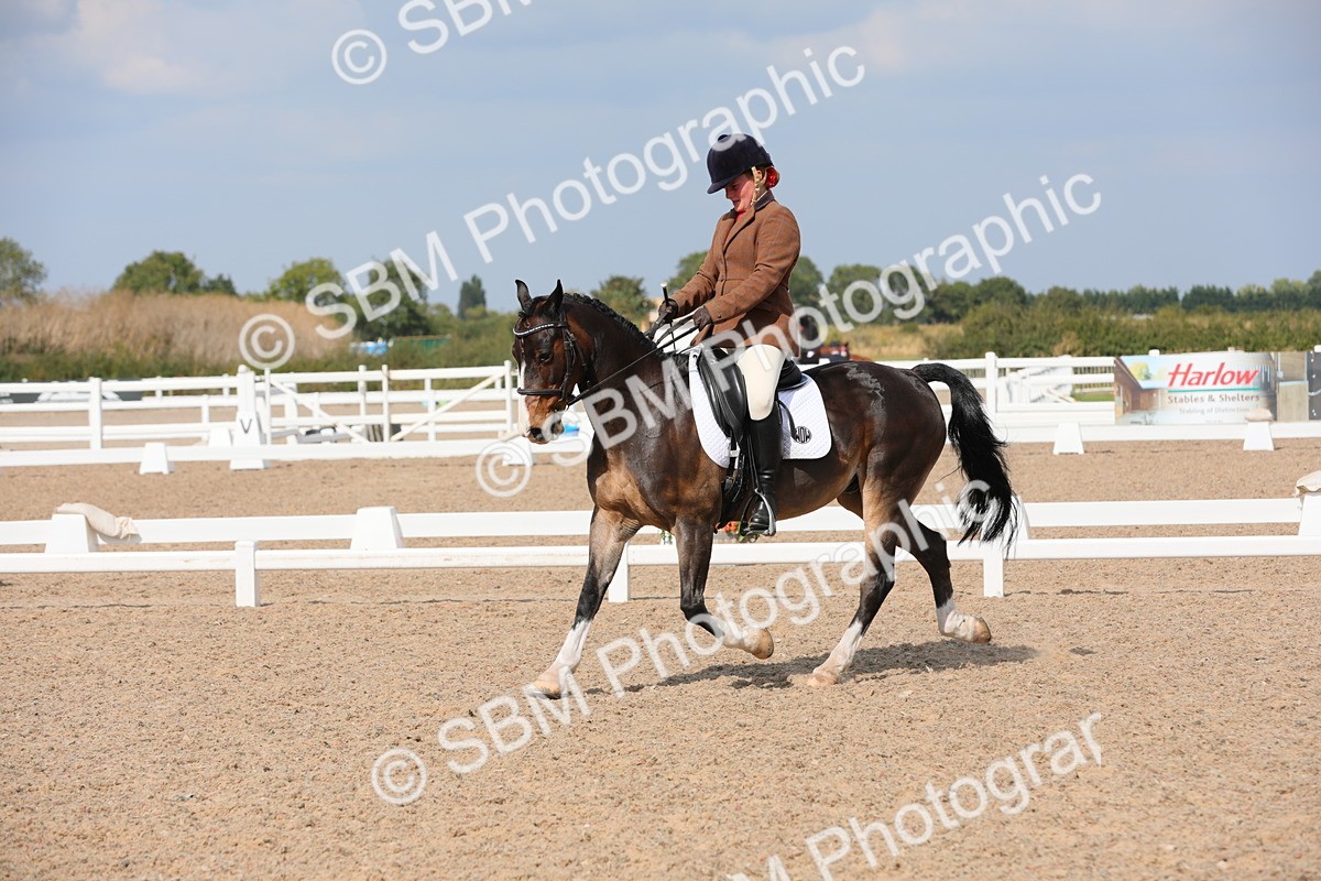 SBM_07500 - Class 33 Elementary 1