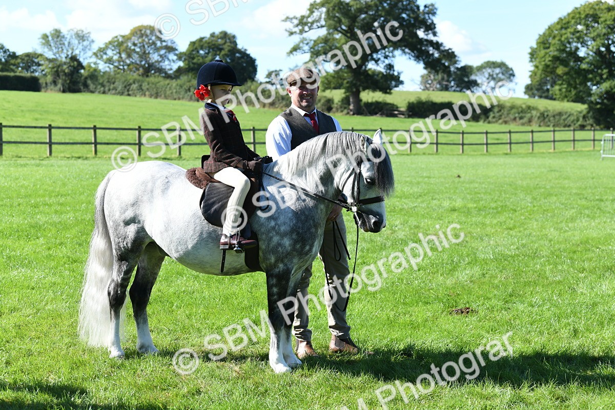 SBM_39581 - S18 - Novice & Newcomers Lead Rein Pony