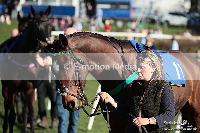 PtP 210326 915 - VWH Cirencester Races 21/03/26