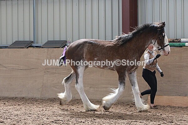 SIAL0186 - Indoor Classes