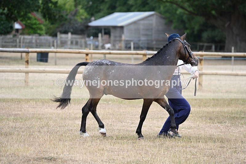 WJ6_8552 - Class 10 Coloured in Hand