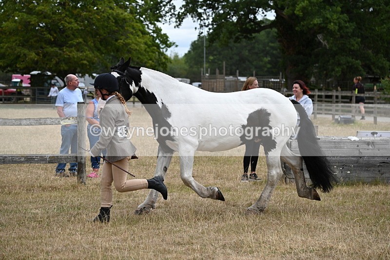 WJ6_8383 - Class 10 Coloured in Hand