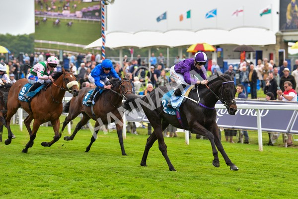 180523-Race 6-Cuban Thunder-9870 - Race 6 4.45pm Frank Whittle Partnership ebfstallions.com Maiden Stakes