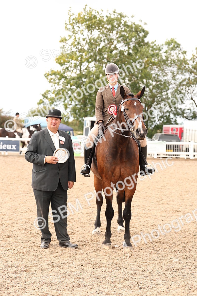 SBM_17274 - Class 213 - Ridden Hunter - Large