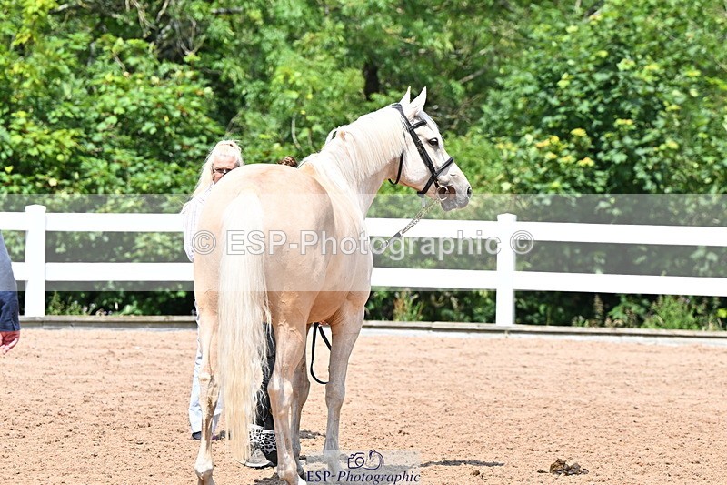 240718A-105315-01753 - Trot Up 1pm to 2pm