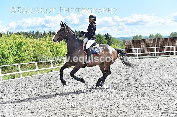 BPP_5463 - SAT CLASS 31 NEWCOMERS/1.10M