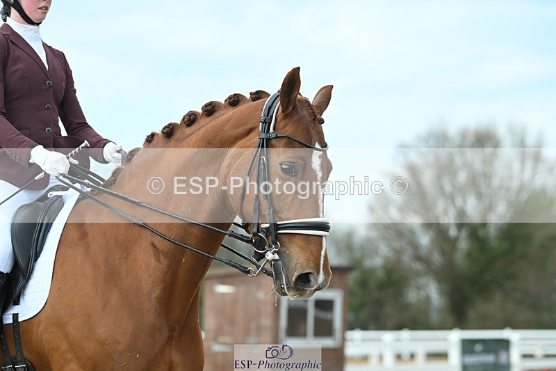 250403-091303-00585 - 035-Jessica.Hickey-Bespoke