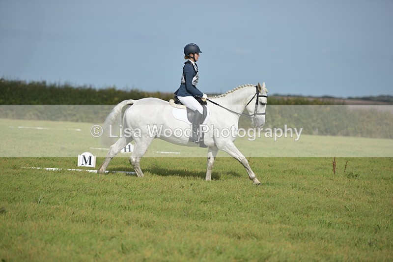 RAY_7701 - Class 2B: Trekenning Open: Dressage