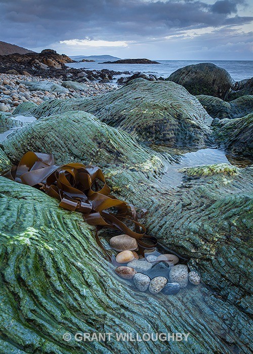 Arran beach detail - Vertical Images