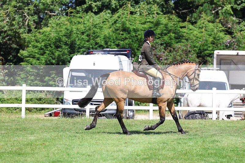 3E7A9124 - Working Hunter Championship