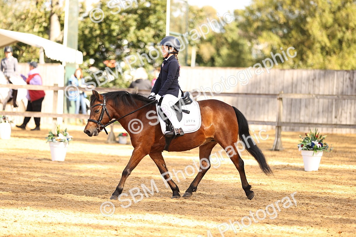 SBM_01502 - D1 - Small Tour Championship