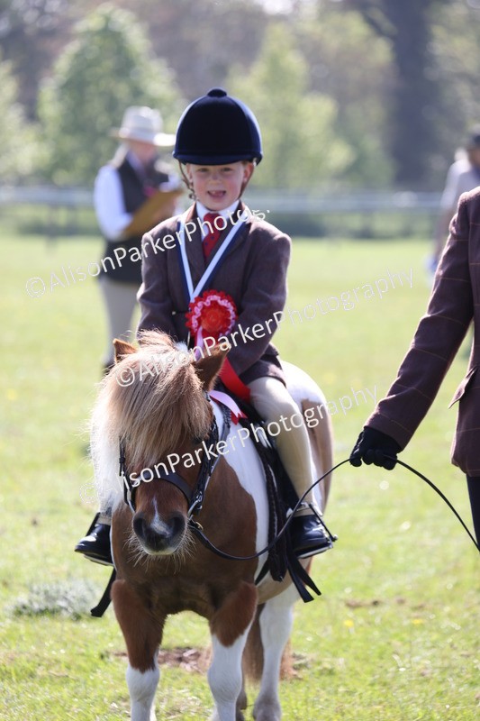 20250427-0187 - Class 30 - Tiny Tots Lead Rein