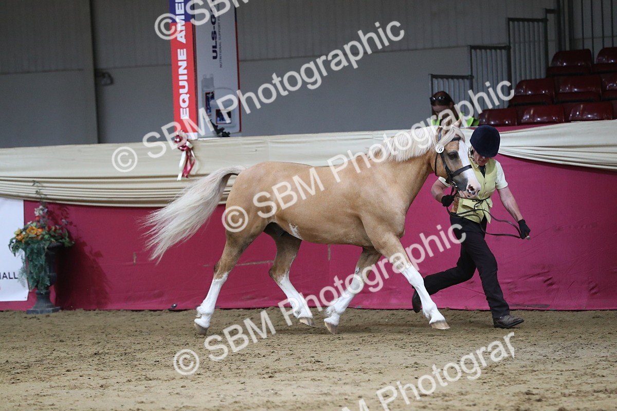 SBM_06278 - Class 9R Regional- IH Pre Vet