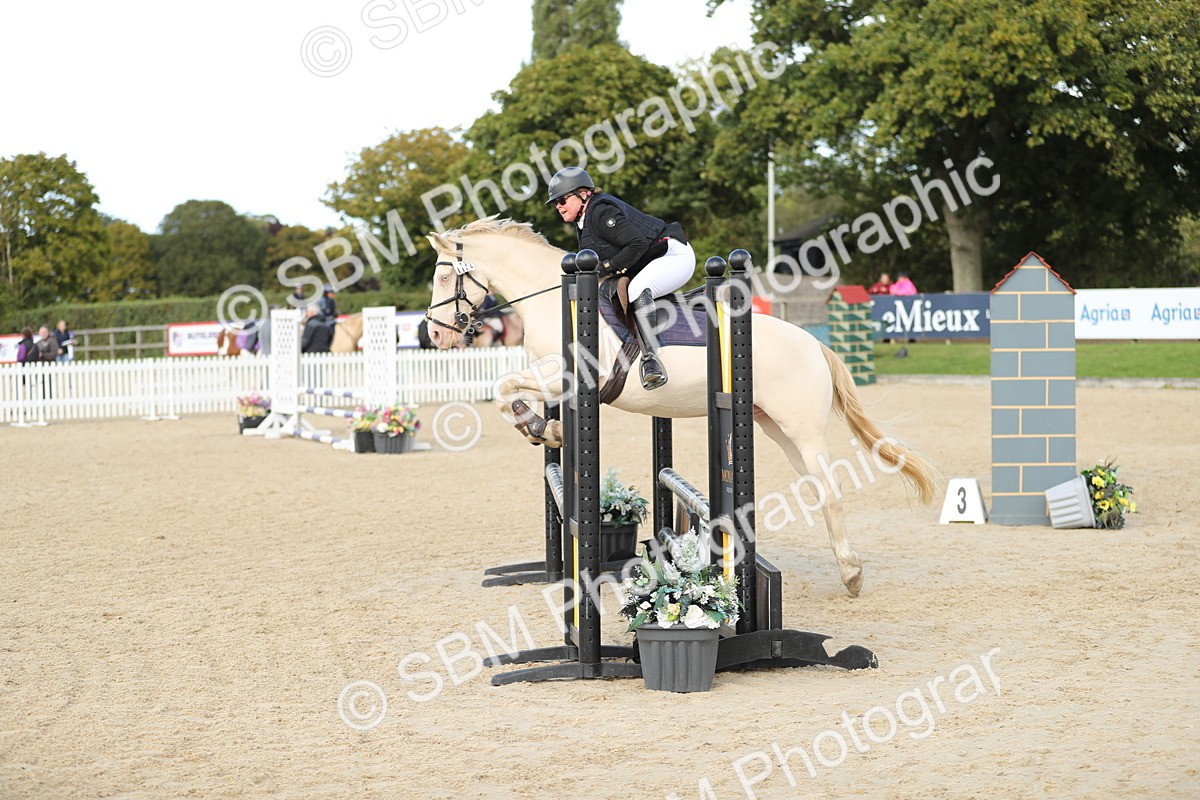 SBM_09944 - J36 - Veteran Rider 70cm