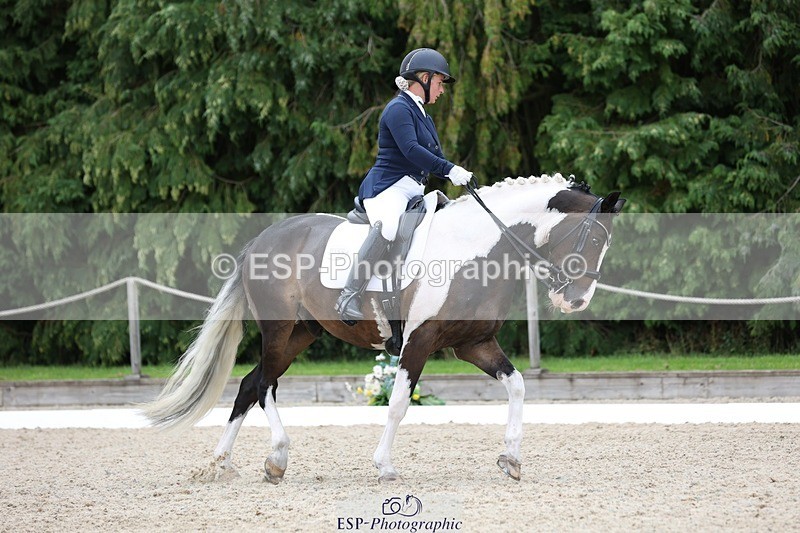 230813-150904-07978 - Cls 11 Elem Bronze 14.30 to End