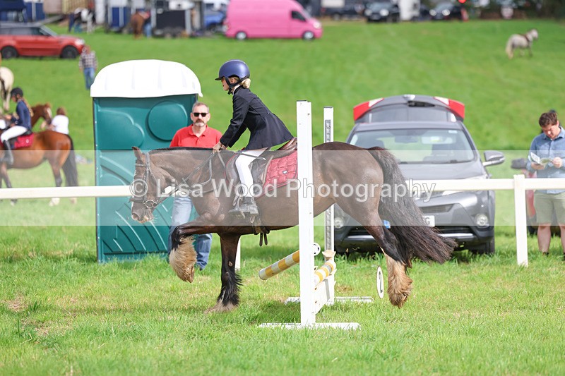 3E7A5330 - Class 1: 60cm Juniors and Seniors