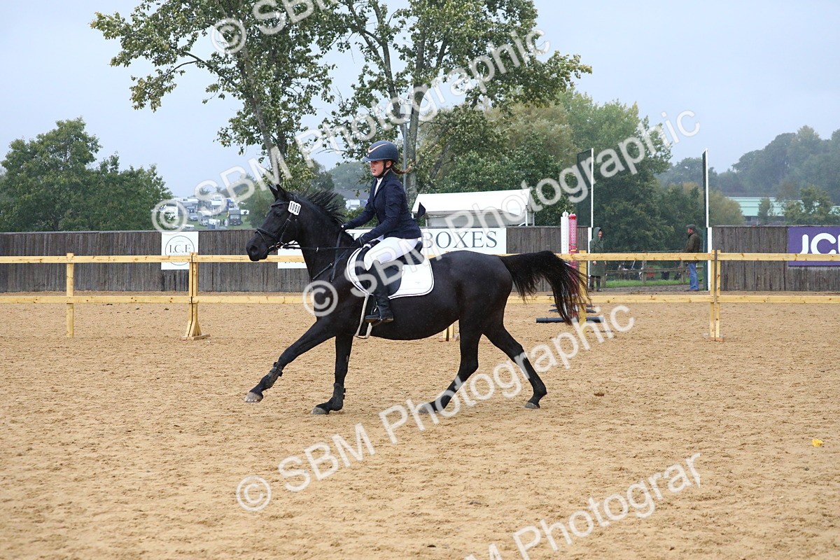SBM_71511 - J4 - Mini Tour Junior Pony 45cm Championship