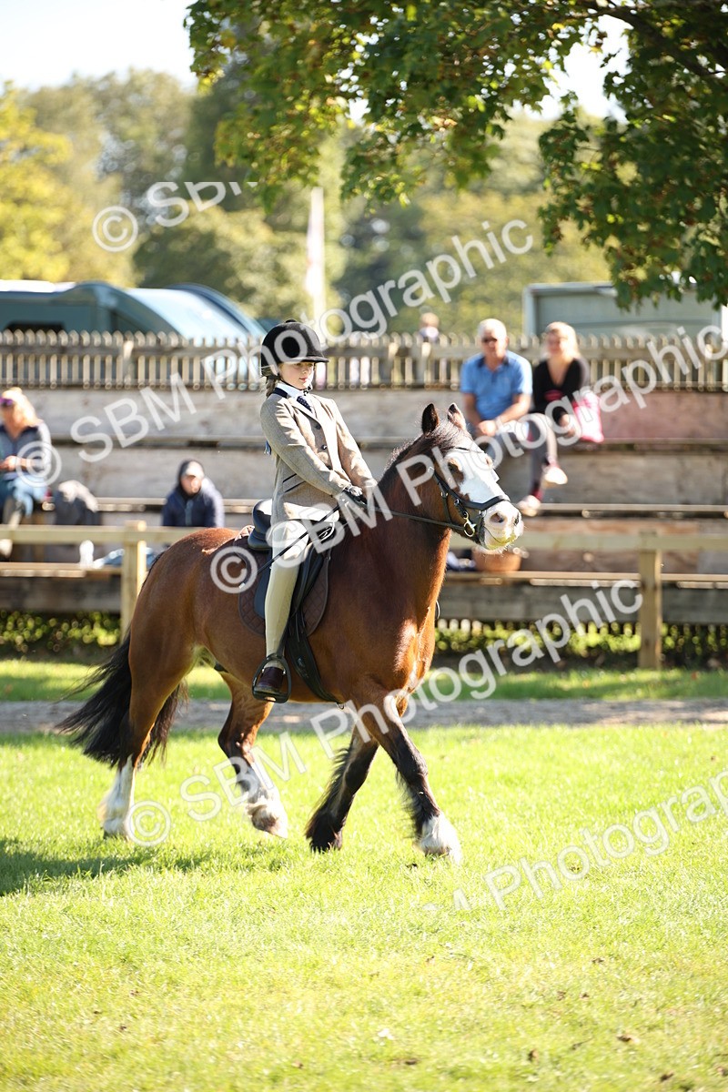 SBM_39027 - S11 - Best Ridden Horse & Pony