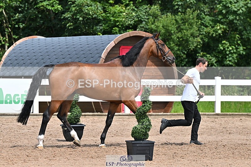 240718A-105259-01412 - Trot Up 12pm to 1pm