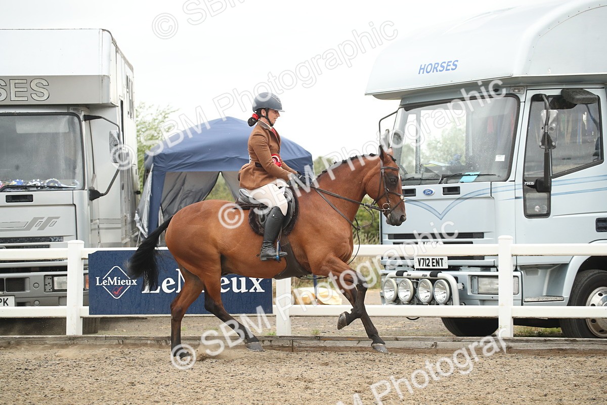 SBM_18427 - Class 509B - Working Veteran - 80cm (20+)