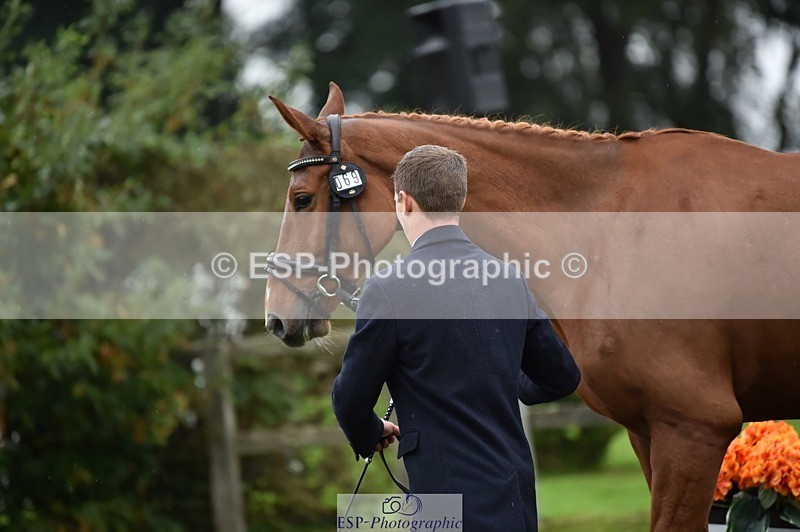 231018-121934-00209 - 069-LUSUELA-Will.Furlong-TrotUp