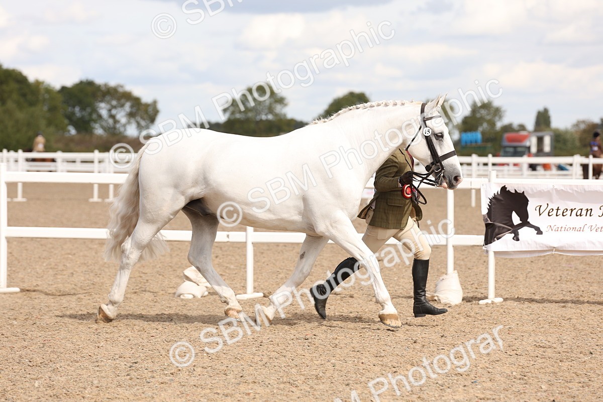 SBM_14738 - Class 208 - IH Veteran Horse
