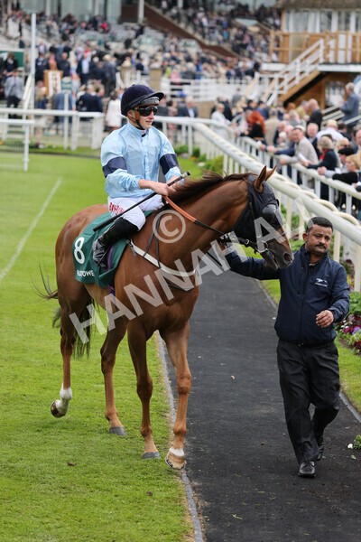 yr13052022r3-18 - Race 3 3.00pm Paddy Power 'I Love Steak' Stakes