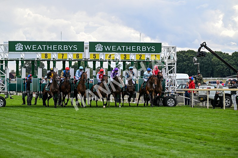 210826-Race 2-Al Nayyir-5259 - Race 2 14.25pm Weatherbys Lonsdale Cup Stakes