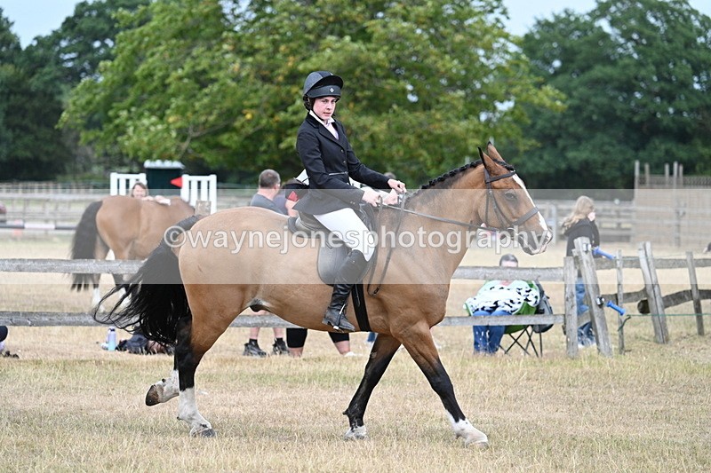 WJ7_1236 - Class 8 Ridden Veterans