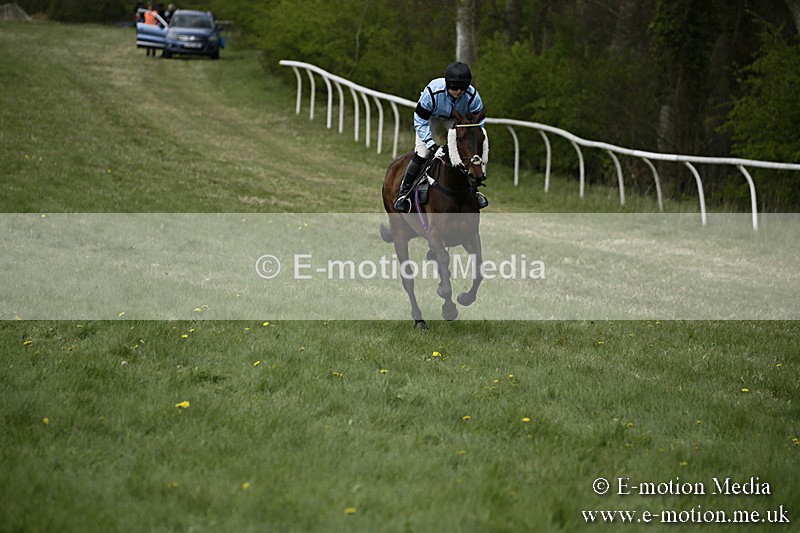 PtP 170417 58 - Old Berks Point-to-Point Lockinge 17/04/17