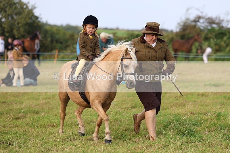 3E7A3578 - Class 2: Lead rein