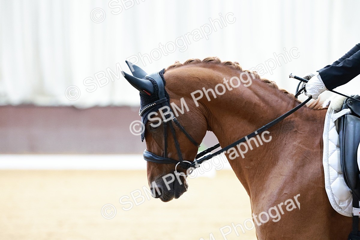 SBM_016776 - Class15 - FEI Pony