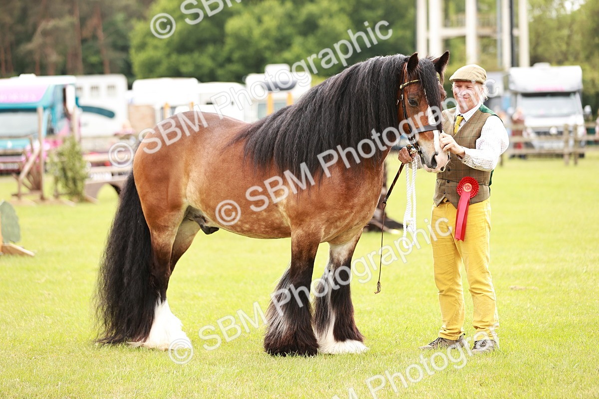 SBM_06073 - Class 39-41 TGCA In Hand and Ridden