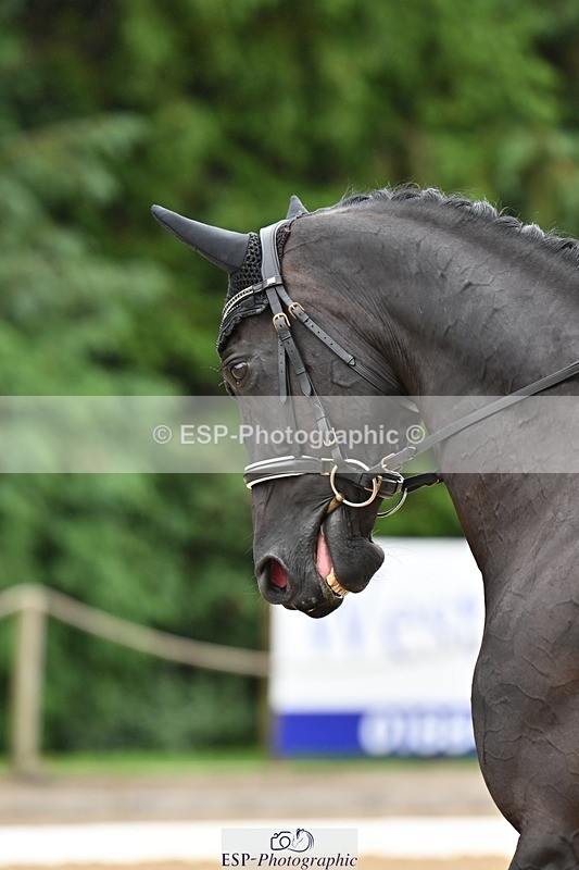 240811-095945-04652 - 117-Katie.Kneen-Springtime.Everafter