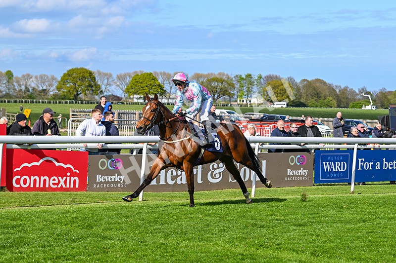 240425-Race 6-Alfie Boy-1671 - Race 6