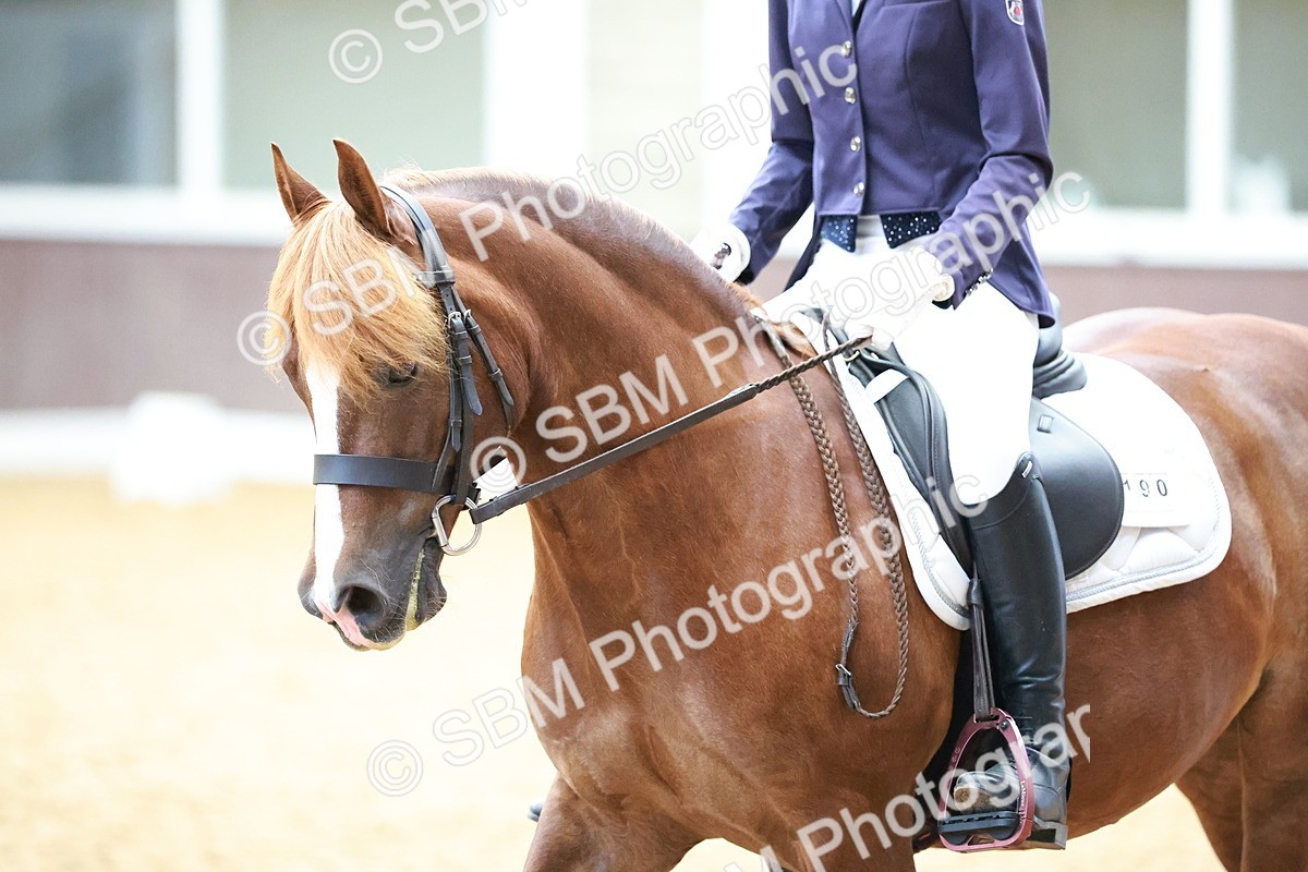 SBM_010889 - Prelim 5 - 11.38-12.48