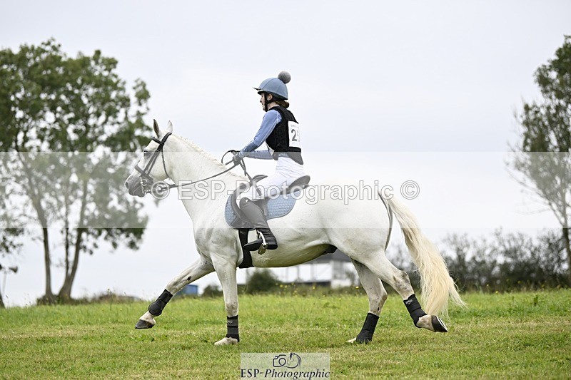 240831A-141810-03598 - 256-Tiarna.Falco-AUGHNAKEERAGH.DANNY