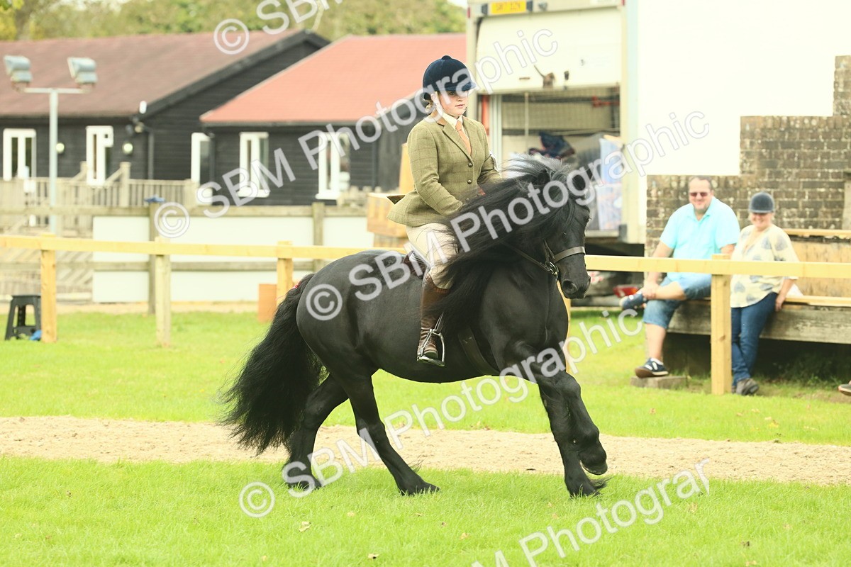 SBM_71939 - S60 - Mountain & Moorland Ridden Large Breeds