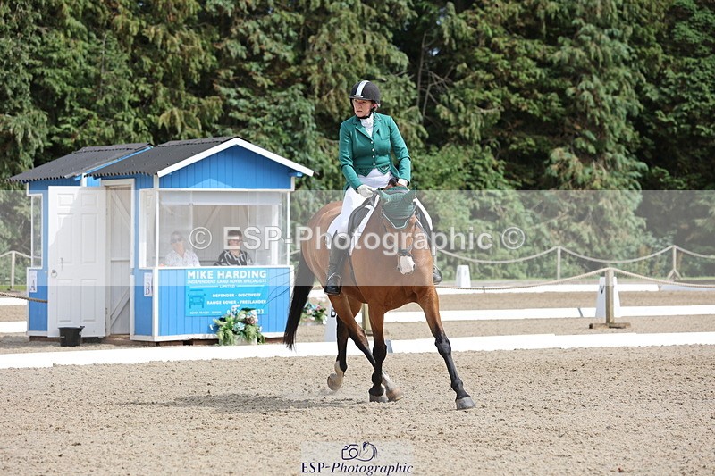 250718A-152811-02574 - 152-Tracy.OKennedy-Wylye.Harlequin