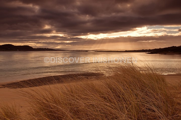 Trawbreaga bay - Nature