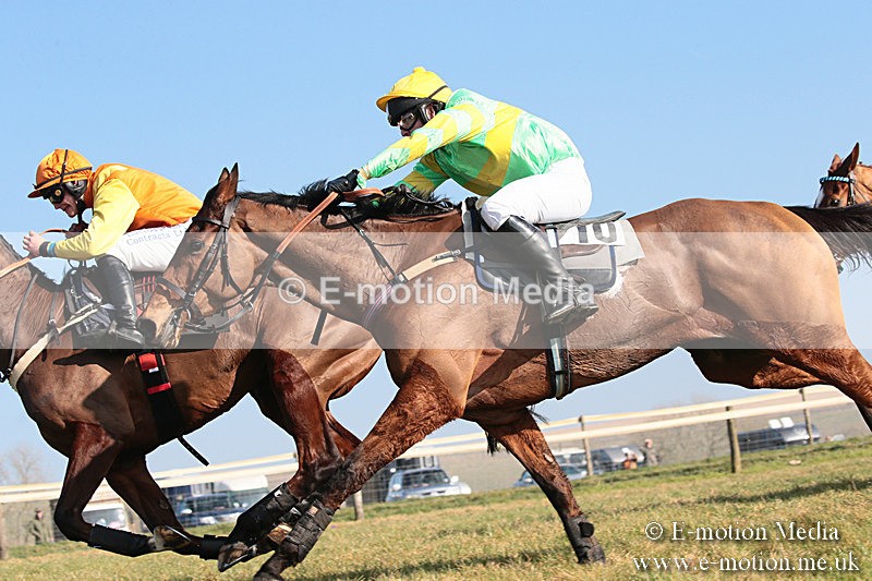 PtP 230219 310 - Vine & Craven Point-To-Point - Barbury 23/02/19