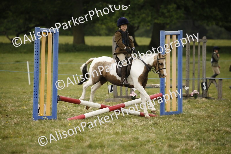 20250517-0806 - Class 2 - 30cm Off Lead Rein