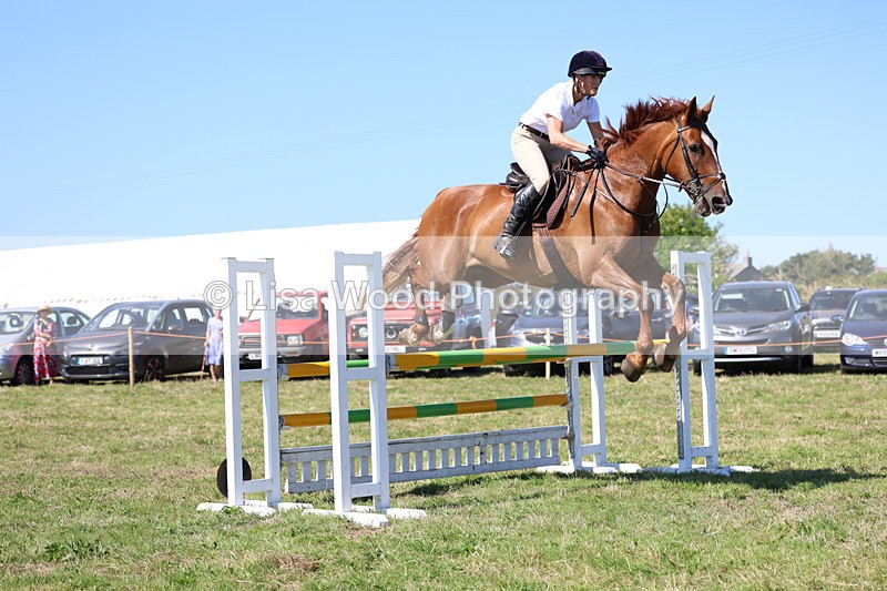 3E7A6432 - Class 13: Senior Newcomers/1.10m open